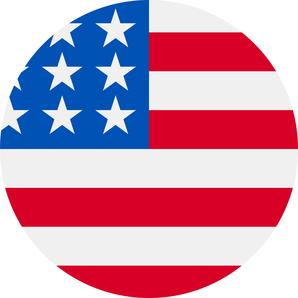 stbemu US Flag Logo